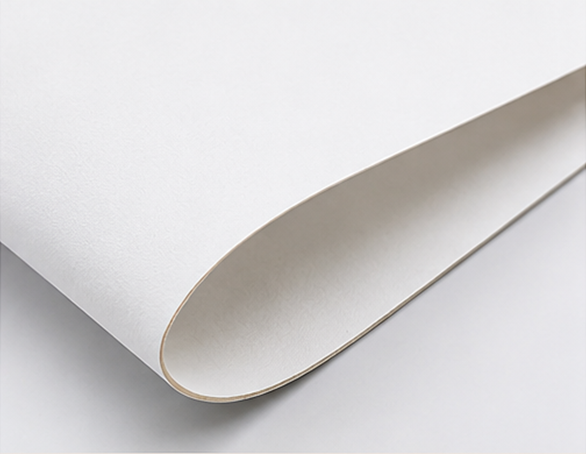 White Back Duplex Board
